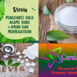 Mengenal Daun Stevia, Pemanis Alami Pengganti Gula