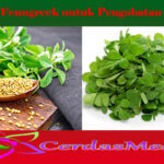 Manfaat Fenugreek untuk Pengobatan Diabetes