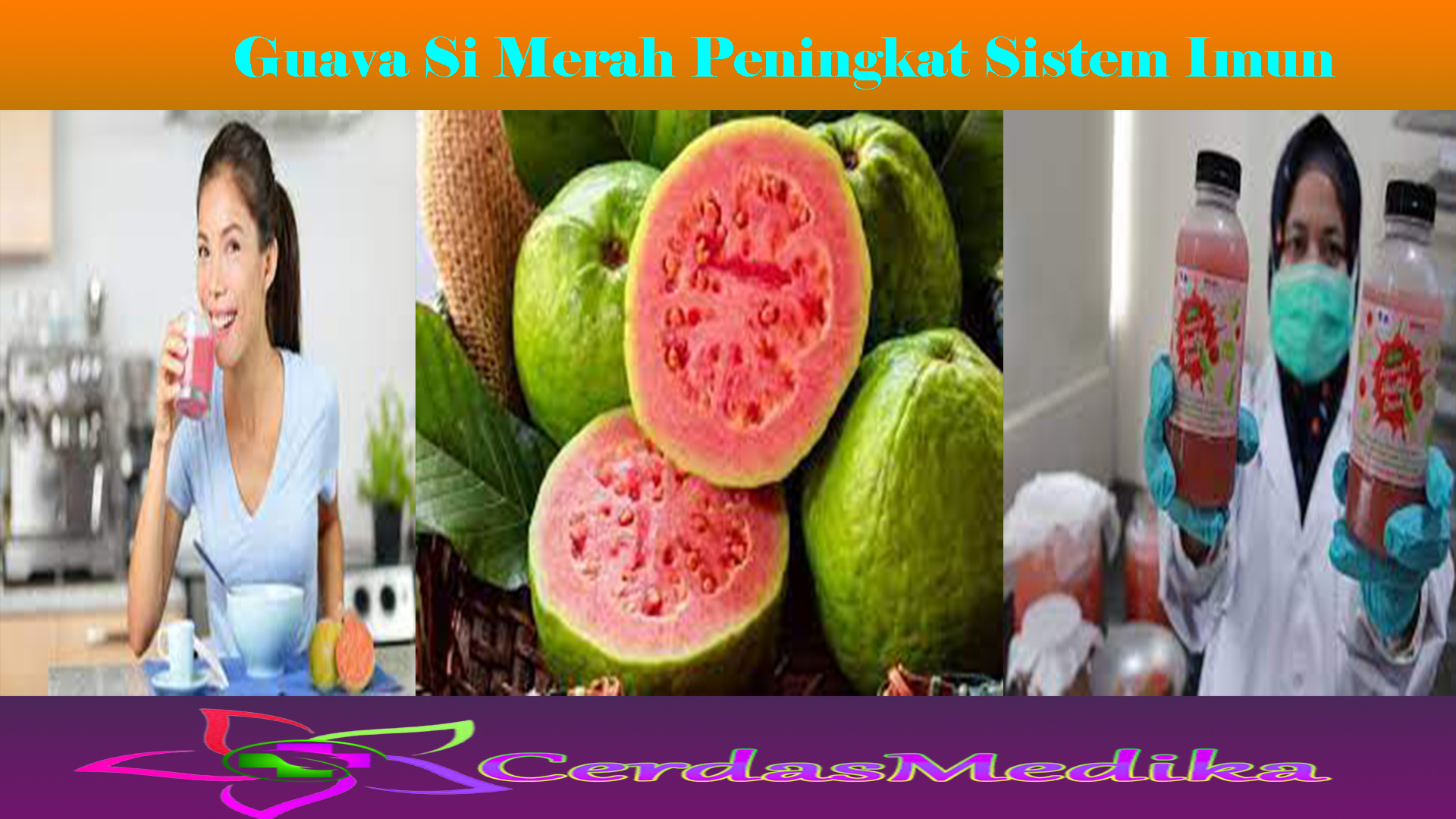 Guava Si Merah Peningkat Sistem Imun