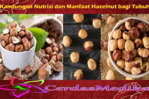 Kandungan Nutrisi dan Manfaat Hazelnut bagi Tubuh