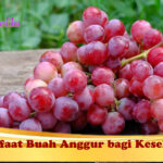 Manfaat Buah Anggur bagi Kesehatan