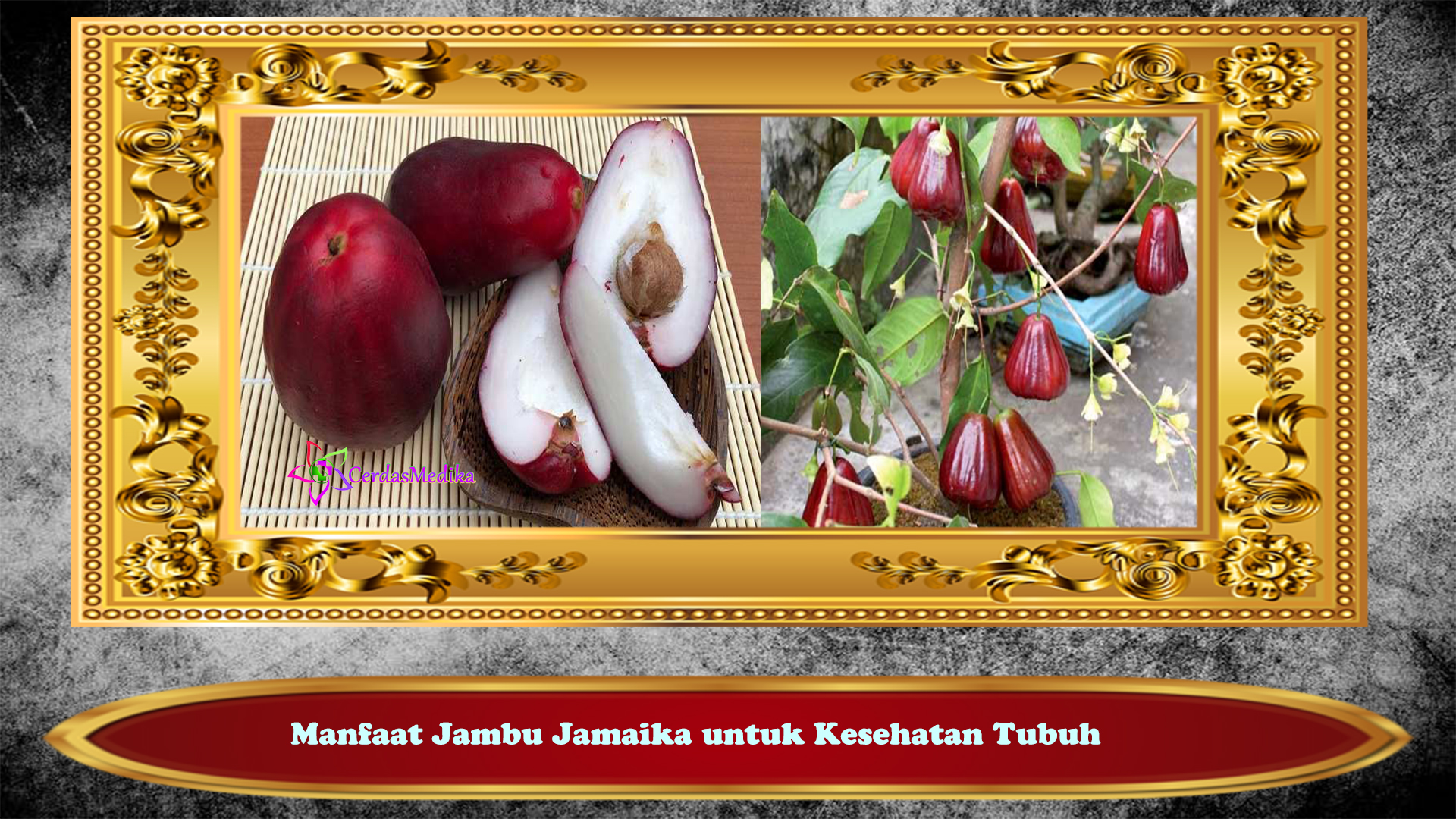 Manfaat Jambu