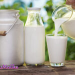 Terkait Fakta Seputar Susu Pasteurisasi & Proses Pembuatannya