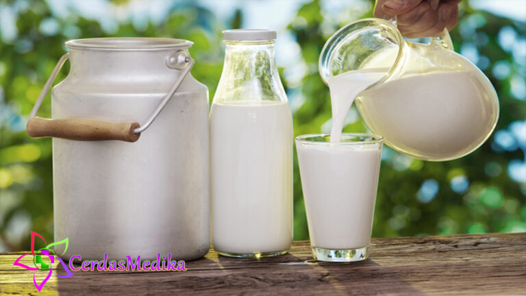 Terkait Fakta Seputar Susu Pasteurisasi & Proses Pembuatannya