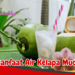 Manfaat Air Kelapa