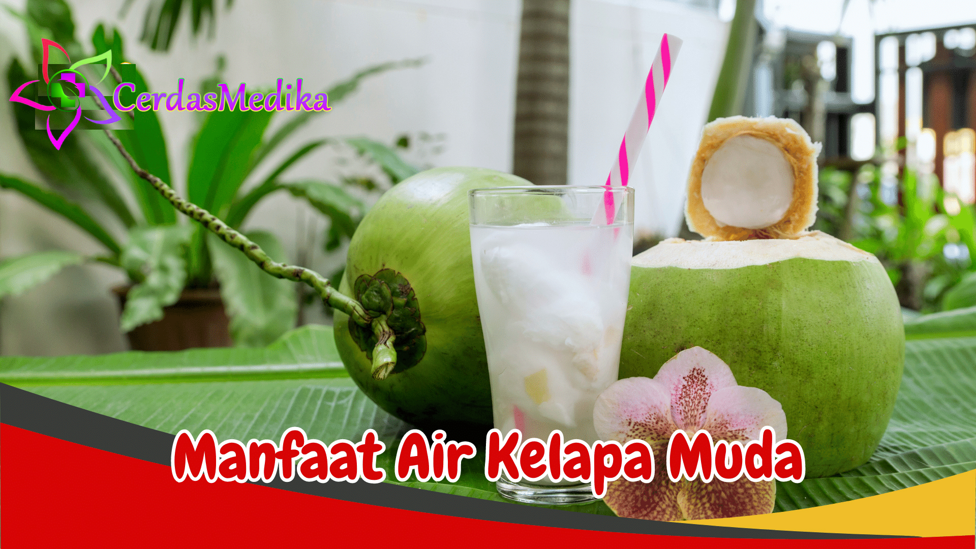 Manfaat Air Kelapa